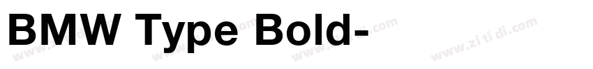 BMW Type Bold字体转换